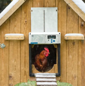 Top pick automatic coop door