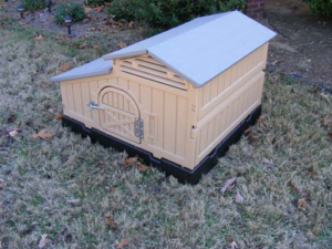 SnapLock Formex Chicken Coop